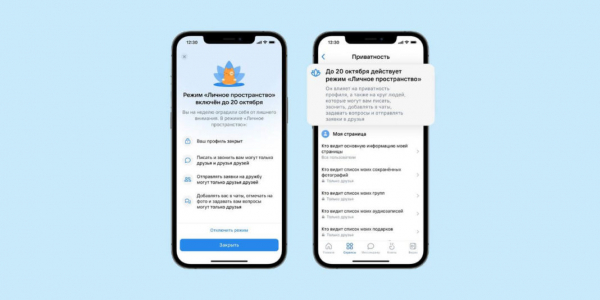 Фото - Во ВКонтакте появился новый режим приватности «Личное пространство»